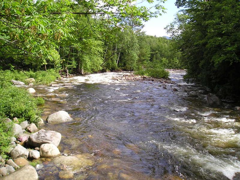PemiBridgeHike (31).JPG - Again, we were grateful for the bridges. There's no way we could have waded across the river.